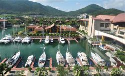 自貿港東風下游艇產業(yè)發(fā)展的思考