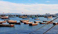 利比里亞漁業(yè)合作項(xiàng)目 Liberia Fisheries Cooperation Project